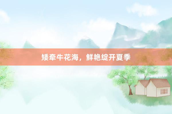 矮牵牛花海，鲜艳绽开夏季